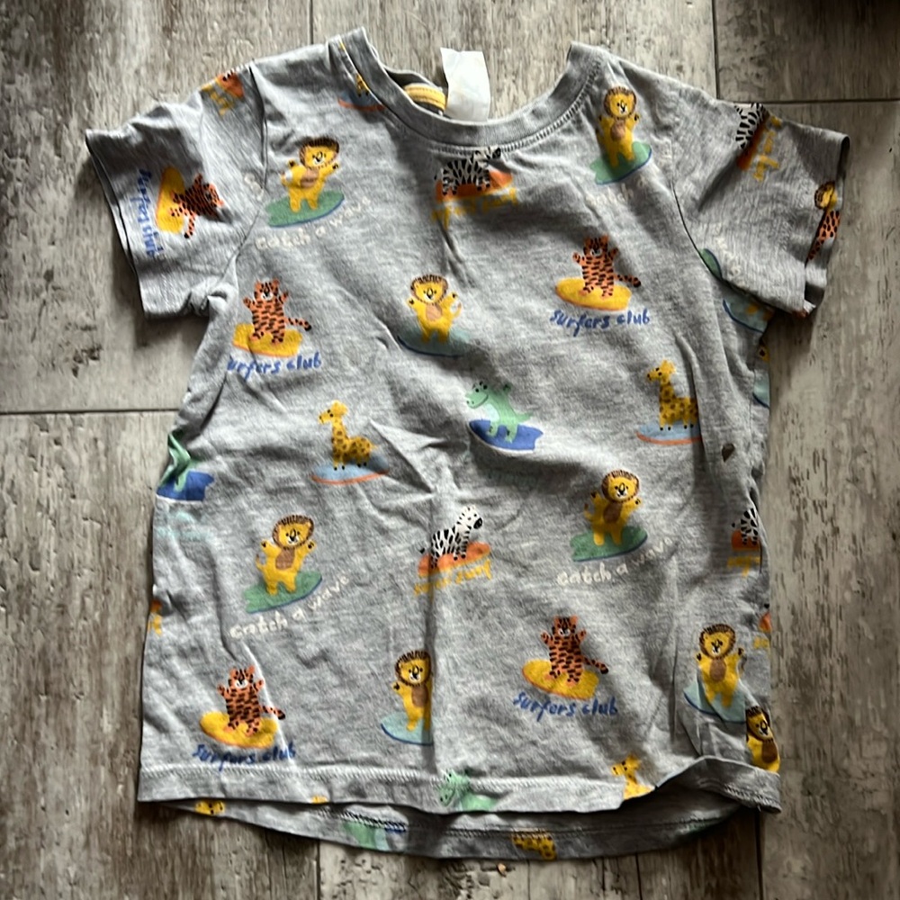 2t boys tee shirts